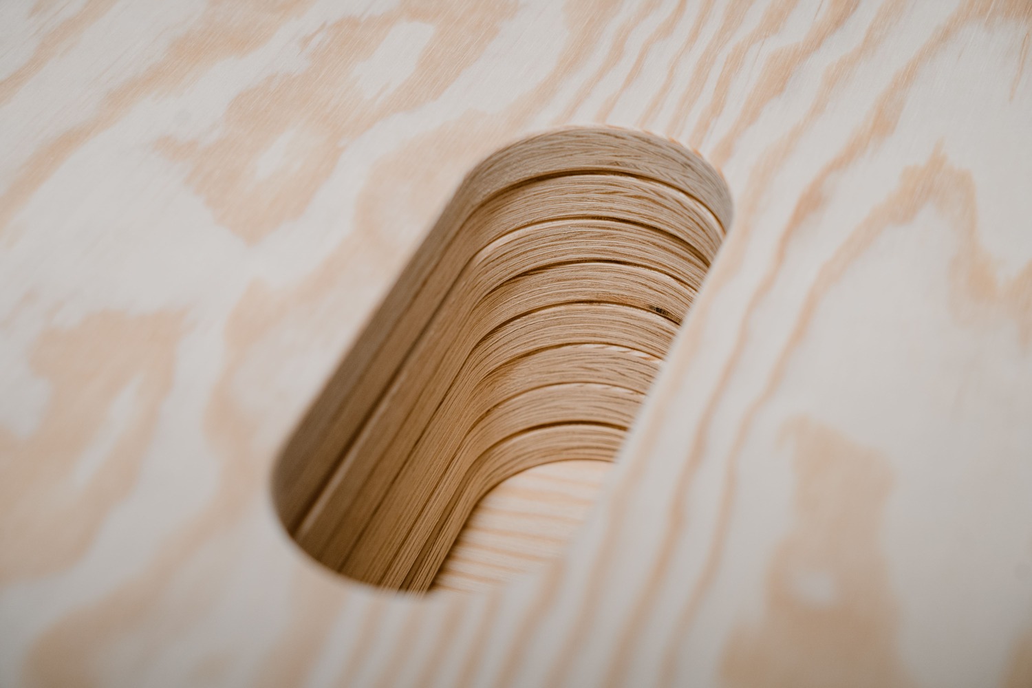 contreplaqué de pin4